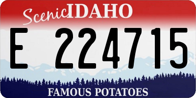 ID license plate E224715