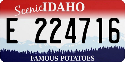 ID license plate E224716