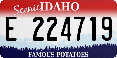 ID license plate E224719