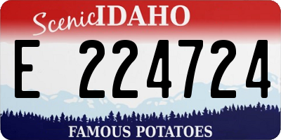 ID license plate E224724