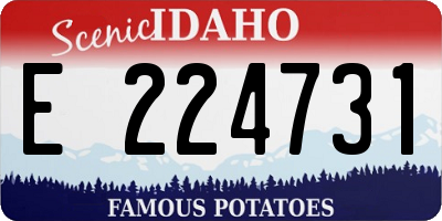 ID license plate E224731