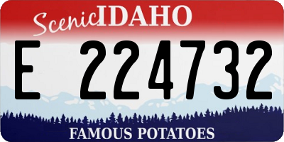 ID license plate E224732