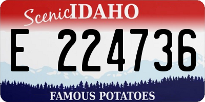 ID license plate E224736