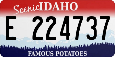 ID license plate E224737