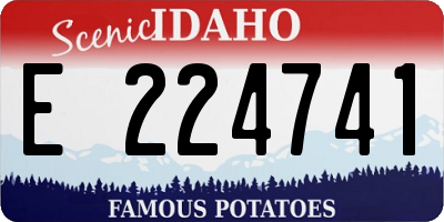 ID license plate E224741