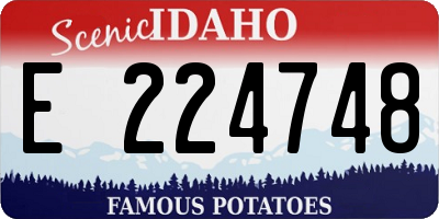 ID license plate E224748