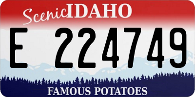 ID license plate E224749
