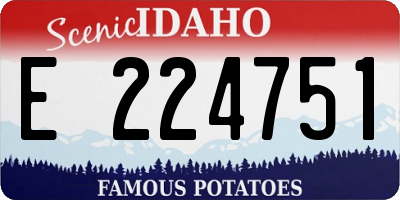 ID license plate E224751