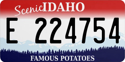 ID license plate E224754