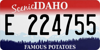 ID license plate E224755