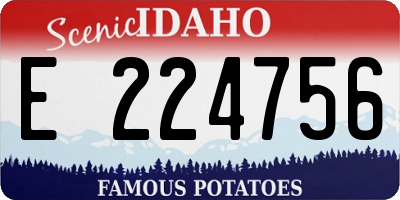 ID license plate E224756