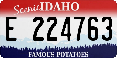 ID license plate E224763