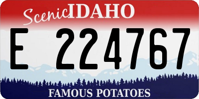 ID license plate E224767