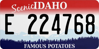 ID license plate E224768