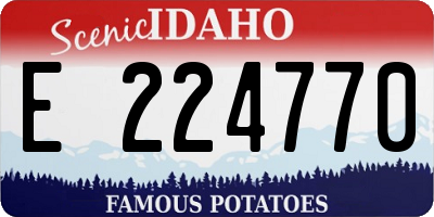 ID license plate E224770