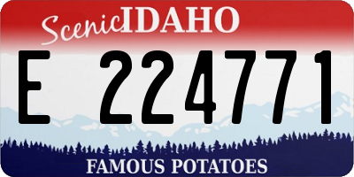 ID license plate E224771