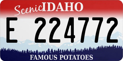 ID license plate E224772
