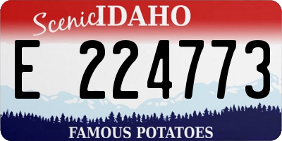 ID license plate E224773