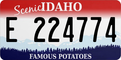 ID license plate E224774