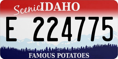 ID license plate E224775