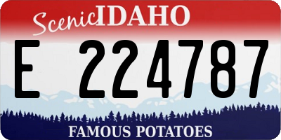 ID license plate E224787