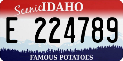 ID license plate E224789