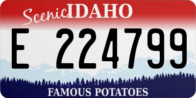 ID license plate E224799
