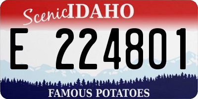 ID license plate E224801
