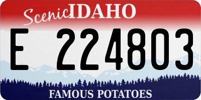 ID license plate E224803