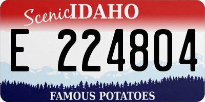 ID license plate E224804