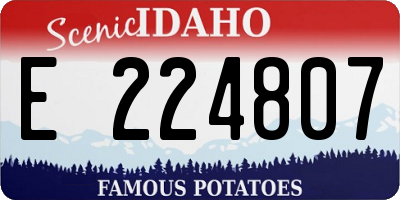 ID license plate E224807