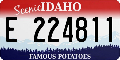 ID license plate E224811