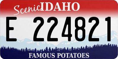 ID license plate E224821