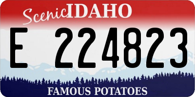 ID license plate E224823