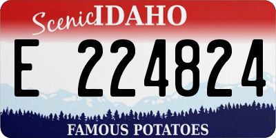 ID license plate E224824