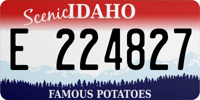 ID license plate E224827