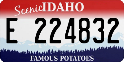 ID license plate E224832