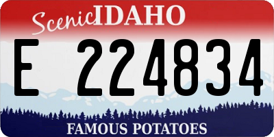 ID license plate E224834