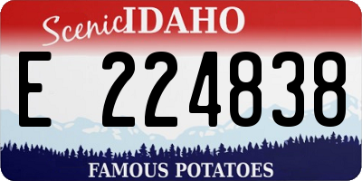 ID license plate E224838