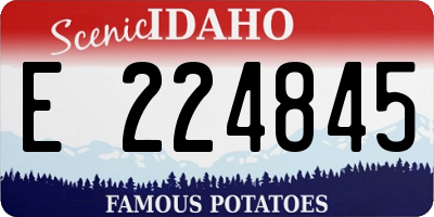 ID license plate E224845