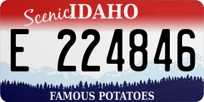 ID license plate E224846