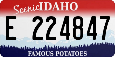 ID license plate E224847