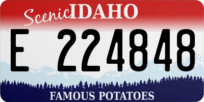 ID license plate E224848