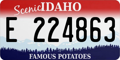 ID license plate E224863