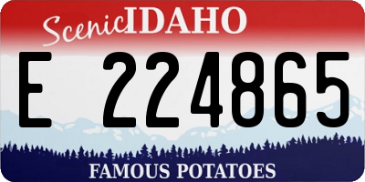 ID license plate E224865