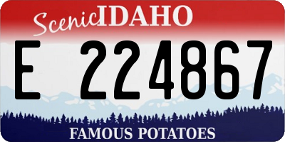 ID license plate E224867