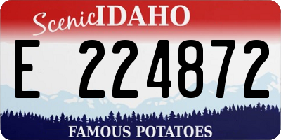 ID license plate E224872