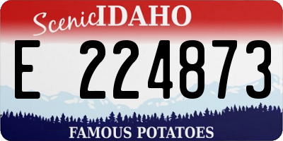ID license plate E224873