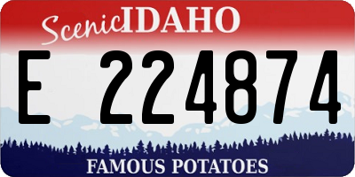 ID license plate E224874