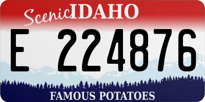 ID license plate E224876